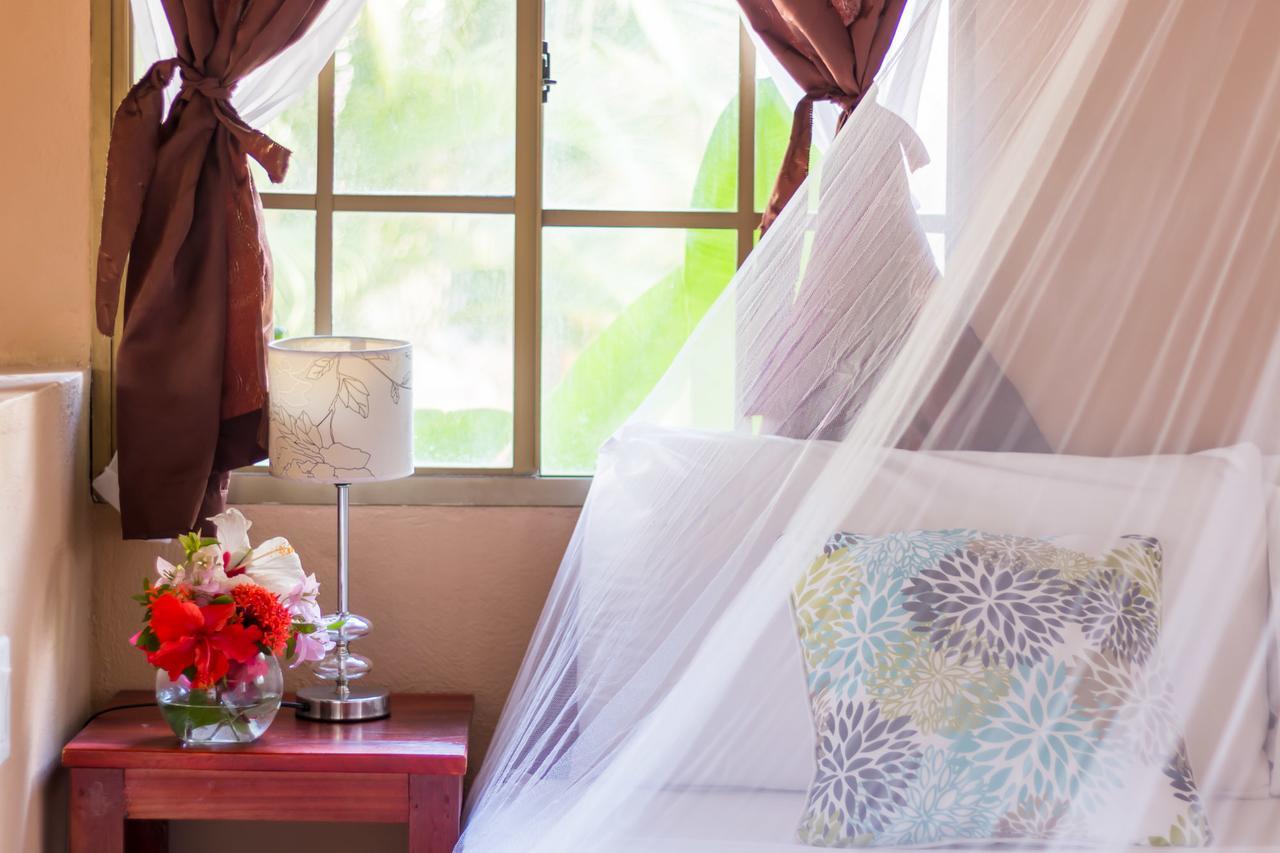 Hotel Mariposa León 외부 사진
