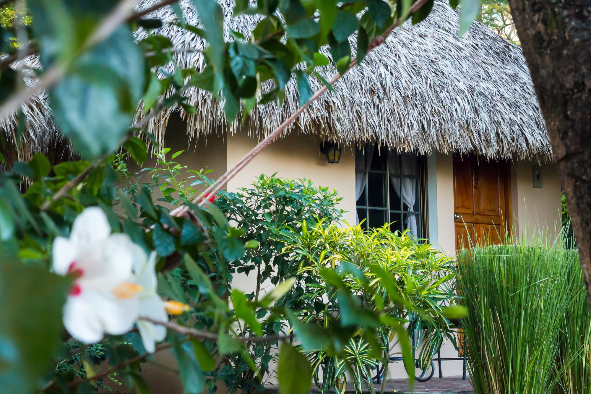 Hotel Mariposa León 외부 사진